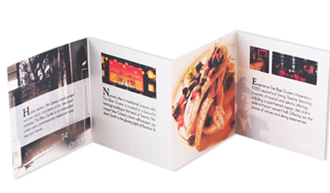 The Blue Oyster Promotional Brochure